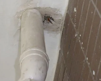 海珠漏水检测哪家好